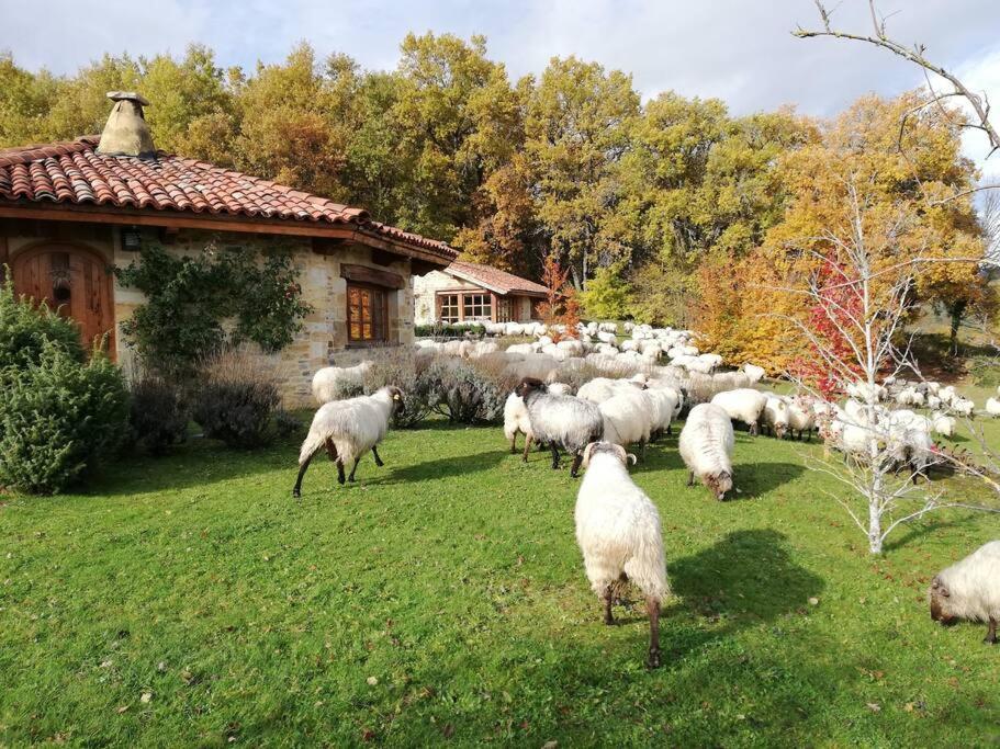 Guikuri Octogono Casa Rural 1, 2 Y 3Pax Villa Murua Exterior foto